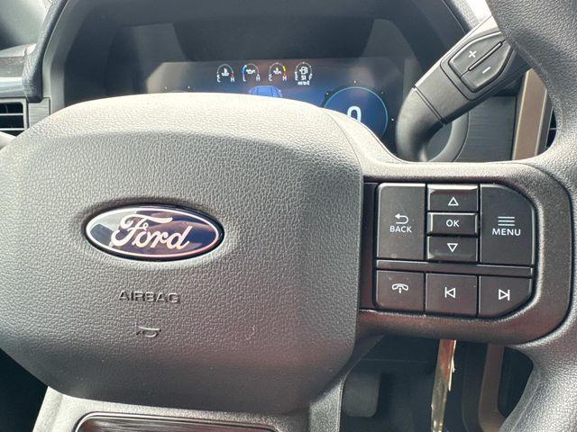 Photo of 2025 Gray Ford F-150