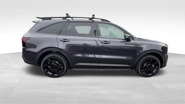 Photo of 2025 Panthera Metal Kia Sorento
