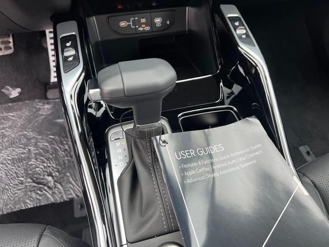 Photo of 2025 Panthera Metal Kia Sorento