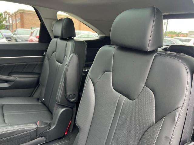 Photo of 2025 Panthera Metal Kia Sorento