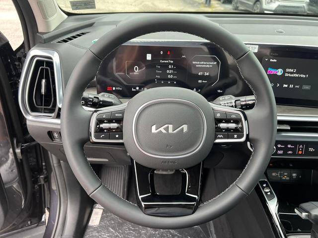Photo of 2025 Panthera Metal Kia Sorento