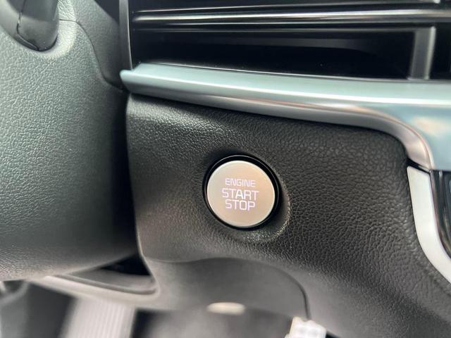 Photo of 2025 Panthera Metal Kia Sorento
