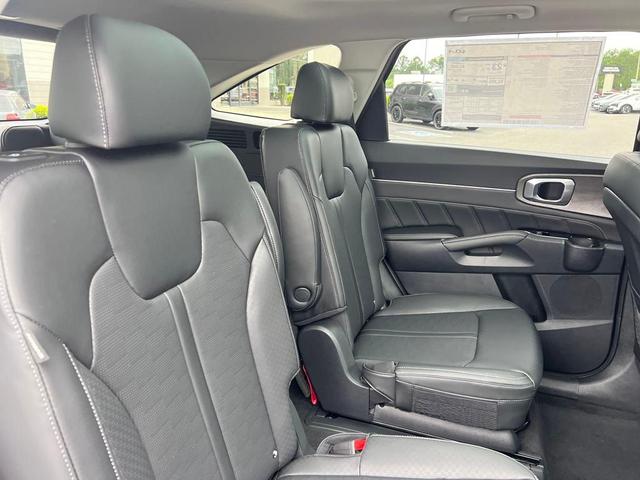 Photo of 2025 Panthera Metal Kia Sorento