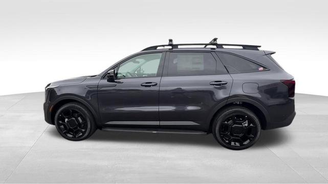 Photo of 2025 Panthera Metal Kia Sorento