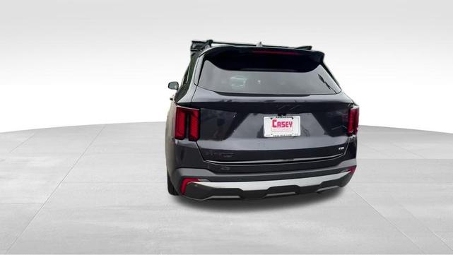 Photo of 2025 Panthera Metal Kia Sorento