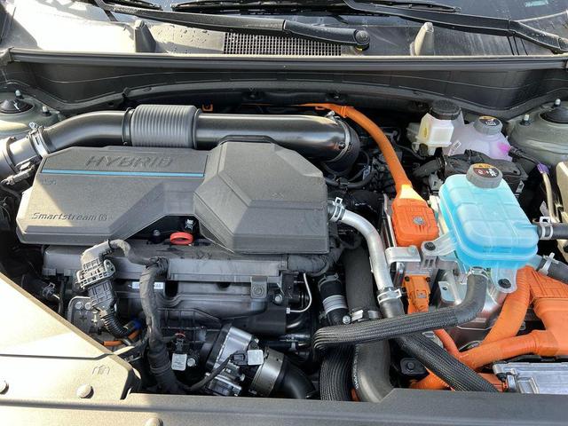 Photo of 2025 Jungle Green Kia Sportage