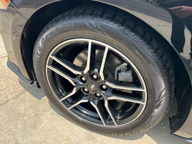 Photo of 2023 Shadow Black Ford Mustang