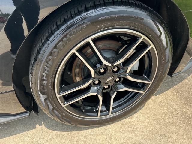 Photo of 2023 Shadow Black Ford Mustang