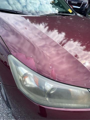 Photo of 2013 Basque Red Pearl II Honda Accord