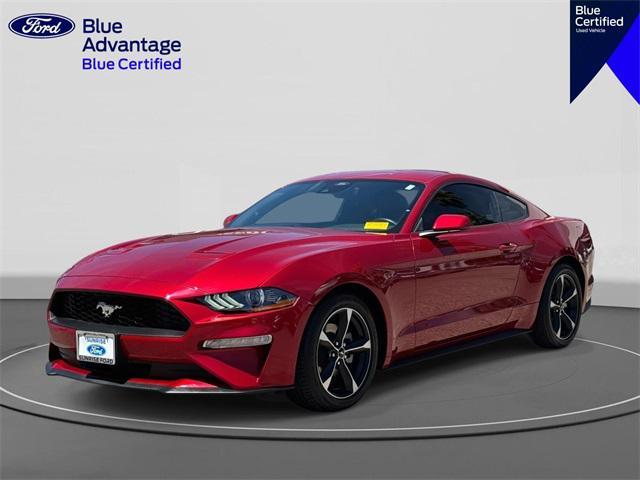 Photo of 2022 RAPID RED MET TINTED CC Ford Mustang
