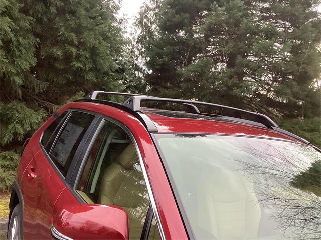 Photo of 2025 Ruby Flare Pearl Toyota RAV4