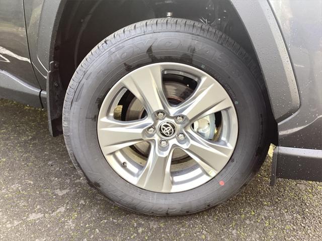 Photo of 2025 Magnetic Gray Toyota RAV4