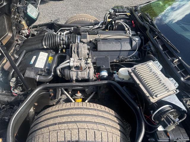 Photo of 1996 POLO GREEN Chevrolet Corvette