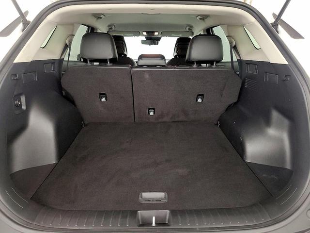 Photo of 2023 White Kia Sportage