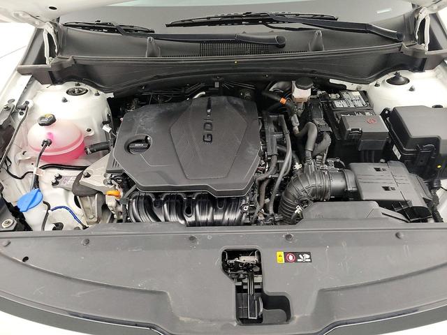 Photo of 2023 White Kia Sportage