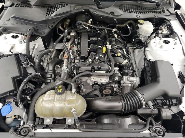 Photo of 2021 White Ford Mustang