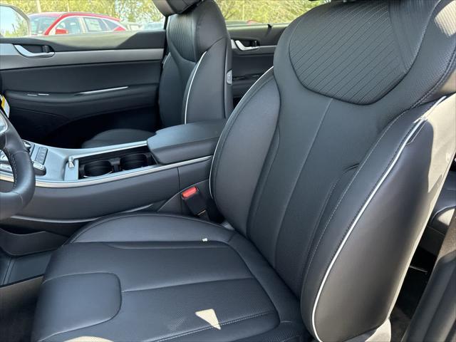 Photo of 2025 Typhoon Silver Hyundai PALISADE