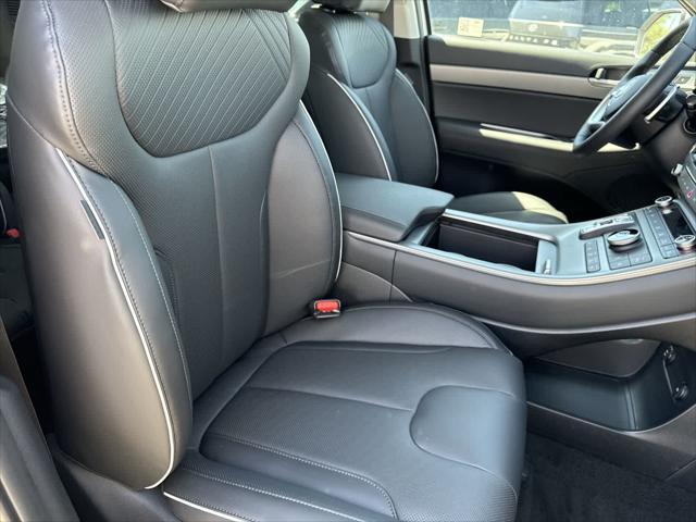 Photo of 2025 Typhoon Silver Hyundai PALISADE