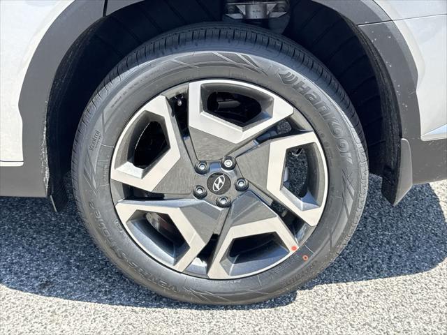 Photo of 2025 Typhoon Silver Hyundai PALISADE