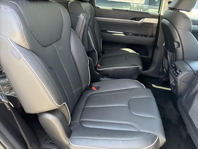 Photo of 2025 Typhoon Silver Hyundai PALISADE