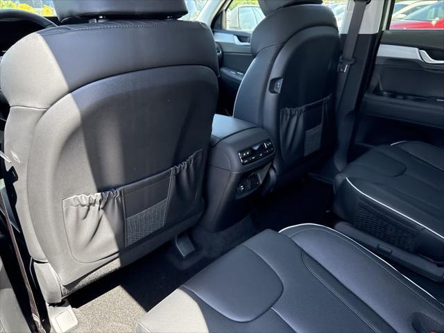 Photo of 2025 Typhoon Silver Hyundai PALISADE