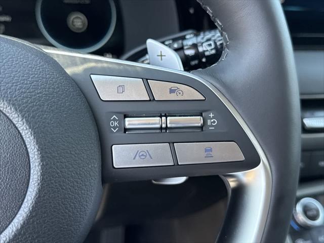 Photo of 2025 Typhoon Silver Hyundai PALISADE