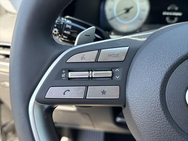 Photo of 2025 Typhoon Silver Hyundai PALISADE