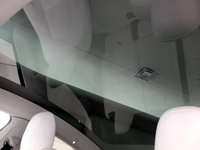 Photo of 2022 Red Tesla Model Y