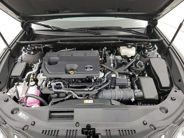 Photo of 2024 Black Lexus ES 300h