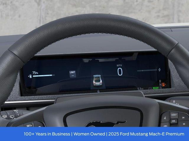 Photo of 2025 Shadow Black Ford Mustang Mach-E