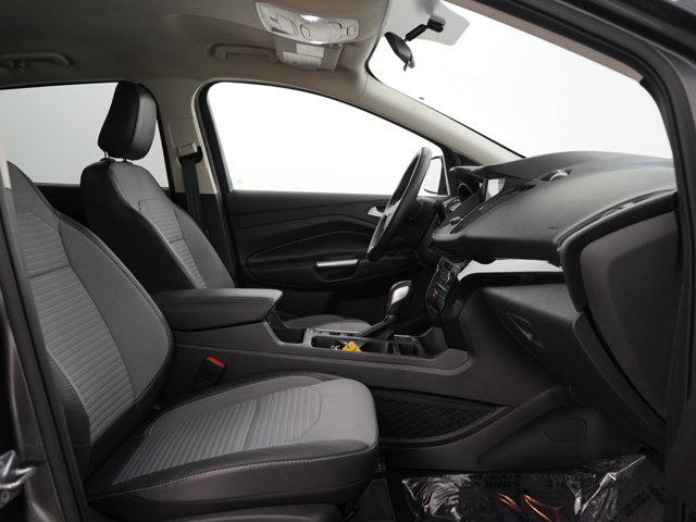 Photo of 2019 Magnetic Ford Escape