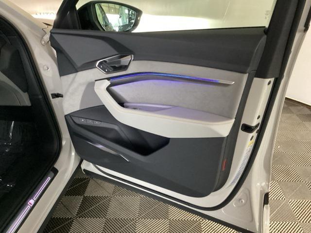 Photo of 2022 Siam Beige Metallic Audi e-tron