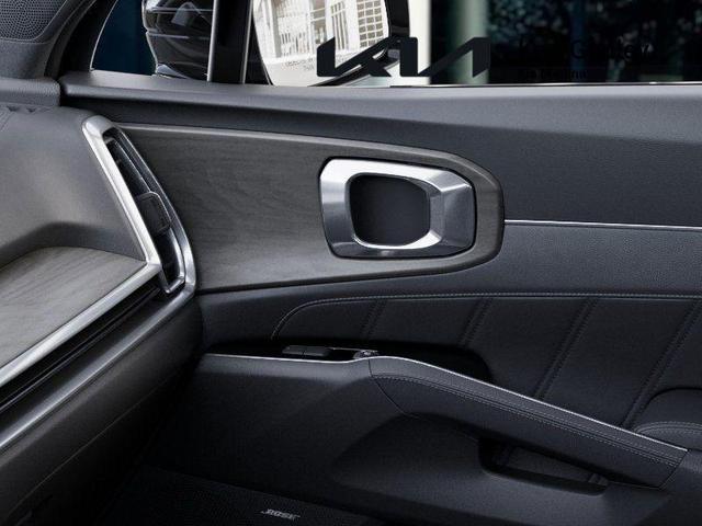 Photo of 2025 Metal Kia Sorento