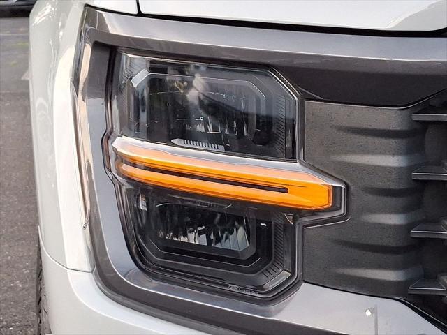 Photo of 2024 Avalanche Gray Ford F-150