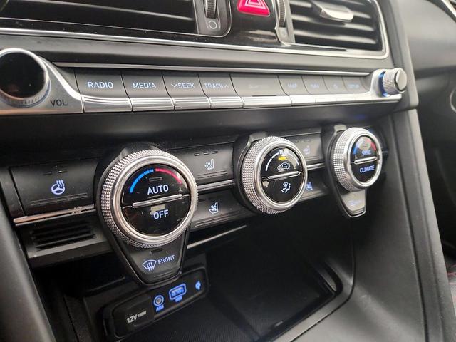 Photo of 2021 Blue Genesis G70