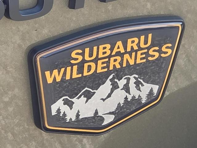 Photo of 2022 Autumn Green Metallic Subaru Outback