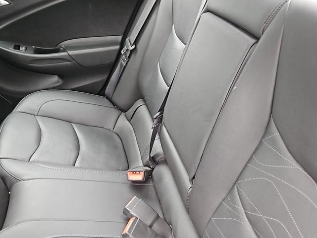 Photo of 2019 Iridescent Pearl Tricoat Chevrolet Volt