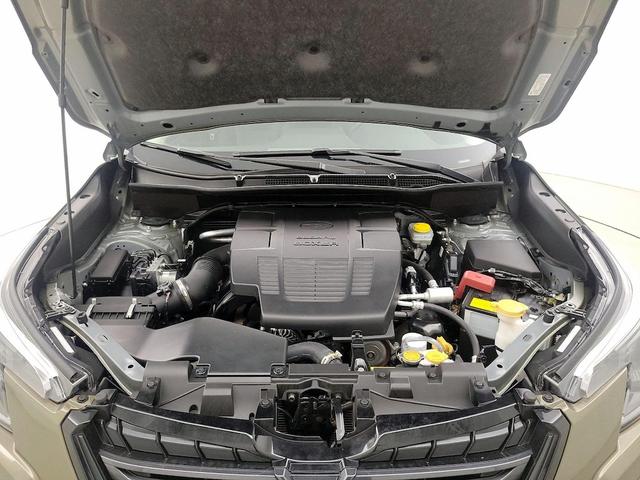 Photo of 2022 Green Subaru Forester