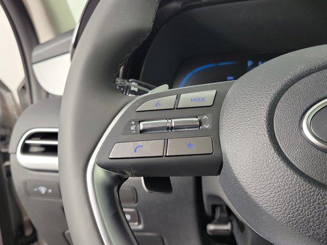 Photo of 2025 Typhoon Silver Hyundai PALISADE