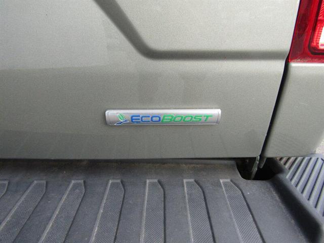 Photo of 2019 Tan Ford F-150
