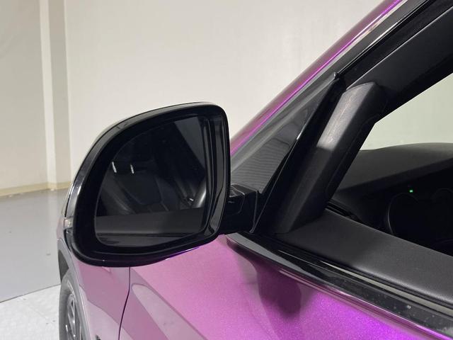 Photo of 2019 Purple BMW X3