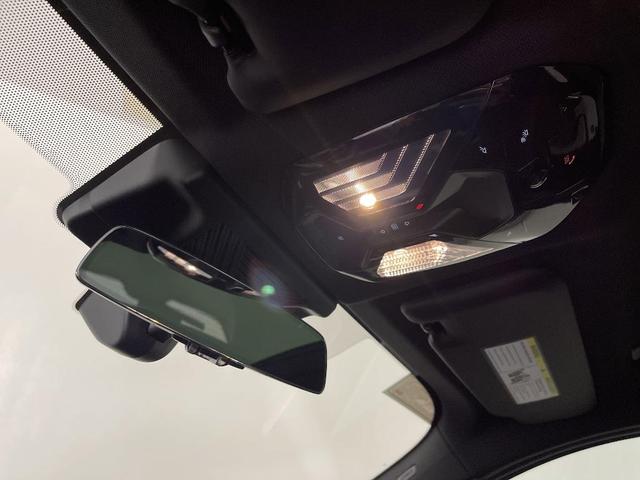 Photo of 2025 Dune BMW X3
