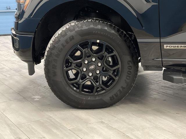Photo of 2024 Agate Black Metallic Ford F-150