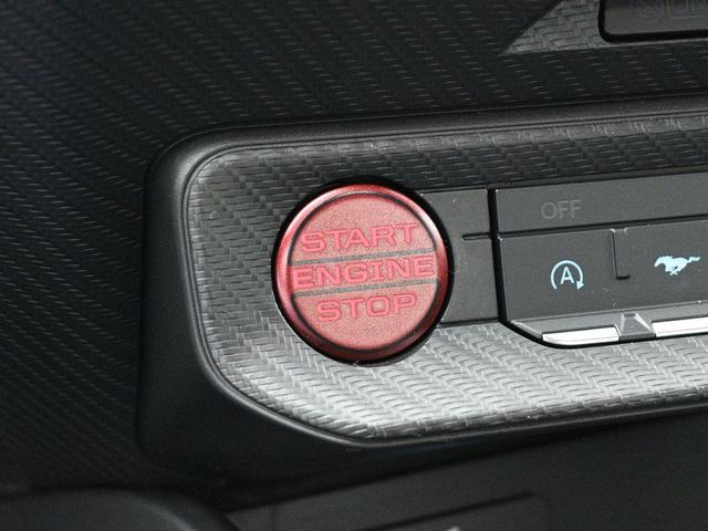 Photo of 2025 Shadow Black Ford Mustang