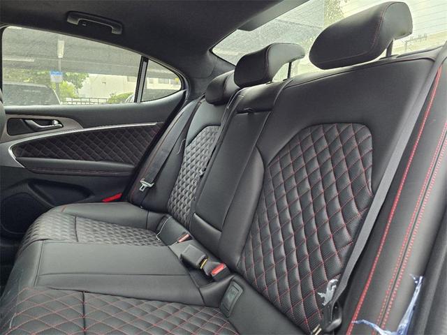 Photo of 2025 Vik Black Genesis G70