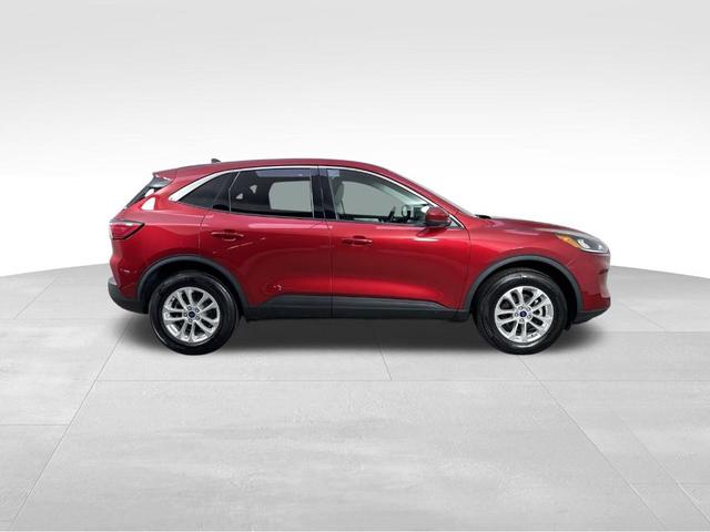 Photo of 2021 Red Ford Escape