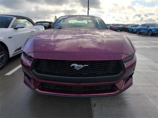 Photo of 2025 Molten Ford Mustang
