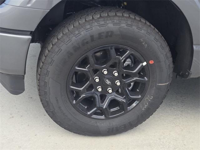 Photo of 2025 Gray Metallic Ford F-150