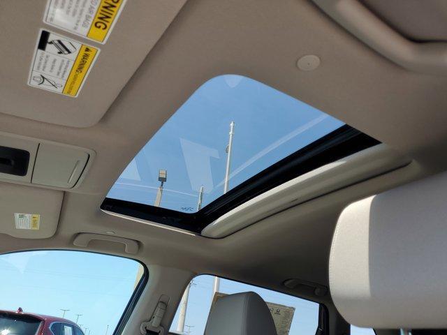 Photo of 2024 Meteorite Honda CR-V