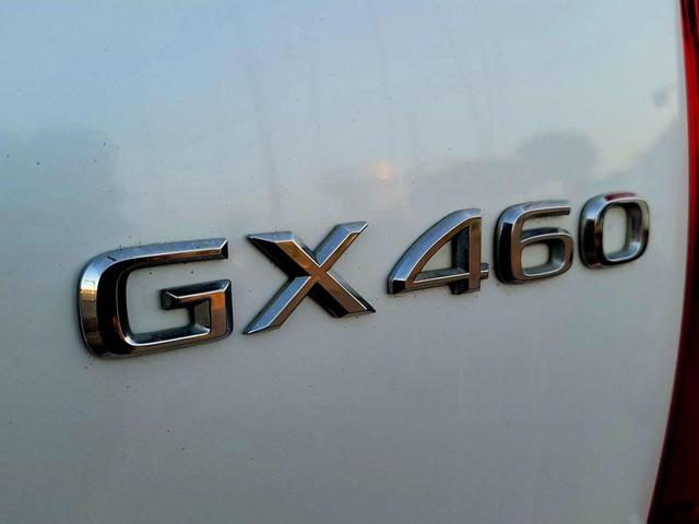 Photo of 2013 White Lexus GX 460